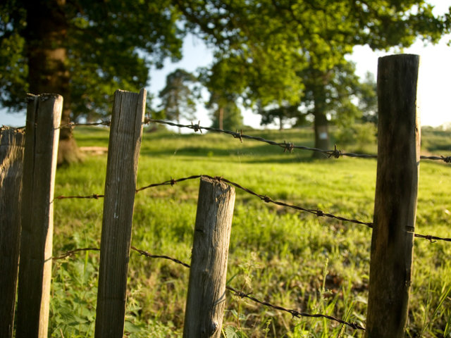 Rustic Countryside Fence